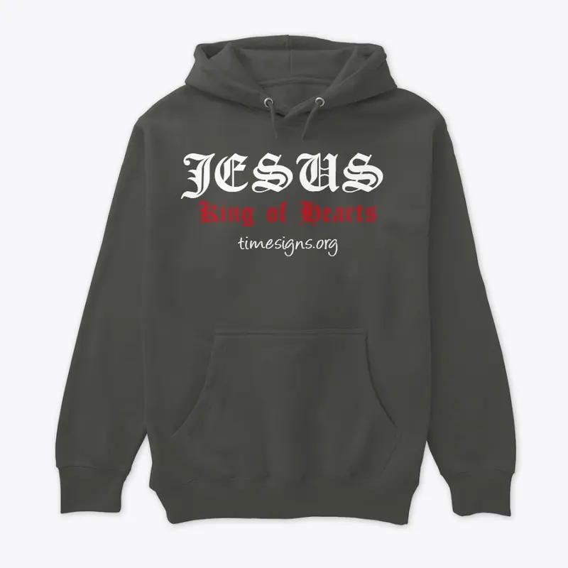 Ts hoodie